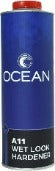 Ocean A11 Acrylic Enamel Wet Look Hardener - nabinsacestore.shop